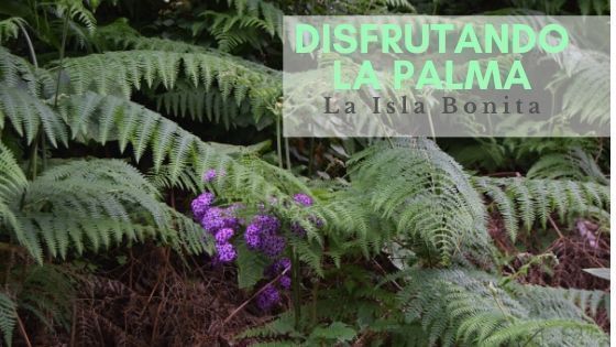 La Palma Islas Canarias