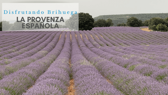 Brihuega la provenza Española