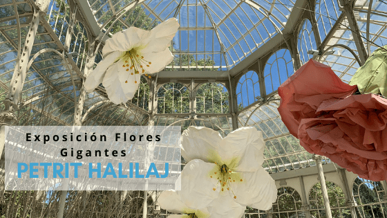 Exposición Flores Gigantes Petrit Halilaj