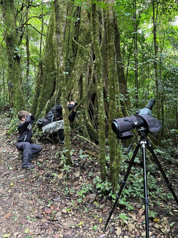 Ruta senderismo niños Monteverde