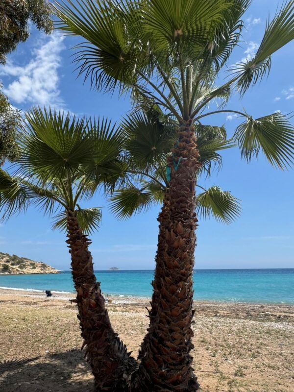 Playa Villajoyosa
