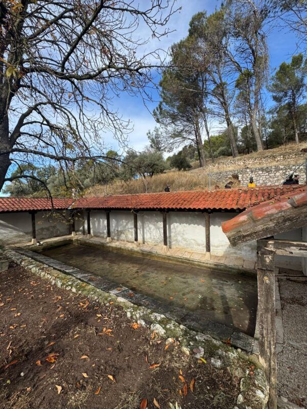 Excursión Chinchón