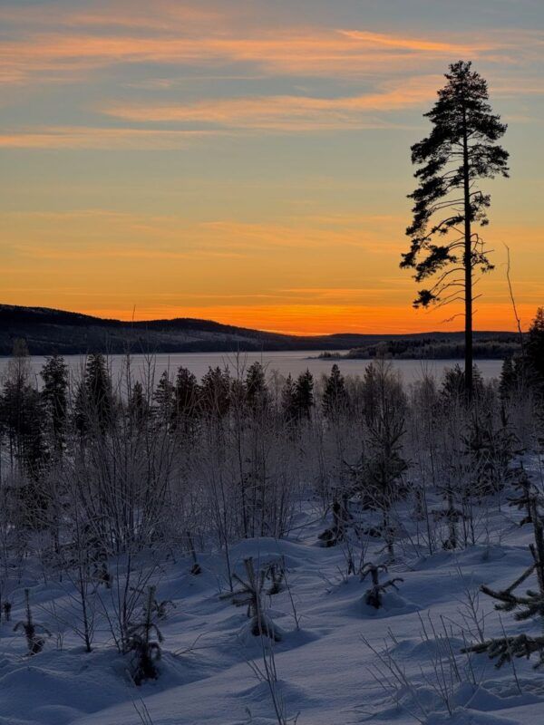Abisko lago