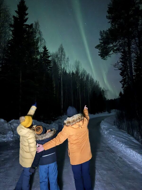 Auroras en Lulea