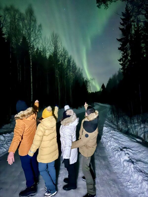 Aurora boreal
